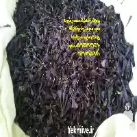 قیمت خرید عمده گیاهان دارویی قره در اردبیل در گروه خرید و فروش گیاهان دارویی در یکمیوه