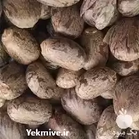 فروش خرید دانه سیاهدانه در گروه خرید و فروش گیاهان دارویی در یکمیوه