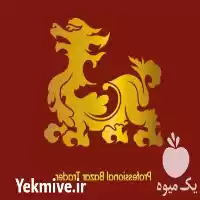 شرکت خبره بازرگان بازار در تبریز در گروه ترخیص کالا در یکمیوه