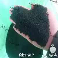 قیمت خرید پخش سیاه دانه اعلا در اصفهان در گروه خرید و فروش گیاهان دارویی در یکمیوه