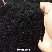 بازار فروش عمده سیاه دانه تازه در گروه خرید و فروش گیاهان دارویی در یکمیوه