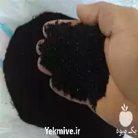 فروش سیاه دانه فله در اصفهان در گروه خرید و فروش گیاهان دارویی در یکمیوه