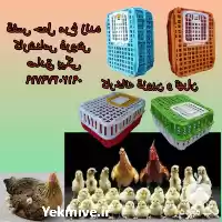 قفس فروش قیمت در تاکستان در گروه تجهیزات مرغداری در یکمیوه