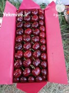 گیلاس تکدانه ارومیه و خوی در آذربایجان غربی