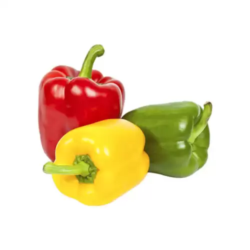 قیمت خرید عرضه فلفل دلمه ای در تهران در گروه خرید و فروش فلفل در یکمیوه -عکس1