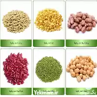 عمده فروش حبوبات در اصفهان در گروه خرید و فروش غلات و حبوبات در یکمیوه
