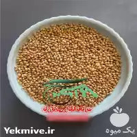 قیمت خرید ارزن و تخم کتان در رشت در گروه خرید و فروش دانه های روغنی در یکمیوه