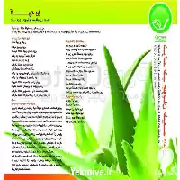 تولید فروش آلوئه ورا با بهترین در شیراز در گروه خرید و فروش پاجوش گل و گیاه در یکمیوه