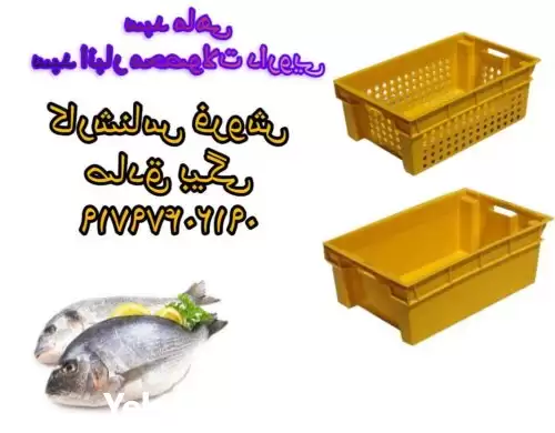 فروش سبد حمل ماهی در تاکستان در گروه خرید و فروش انواع سبد در یکمیوه -عکس1