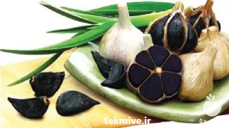 فروش سیر سیاه در اصفهان در گروه خرید و فروش سیر در یکمیوه -عکس1