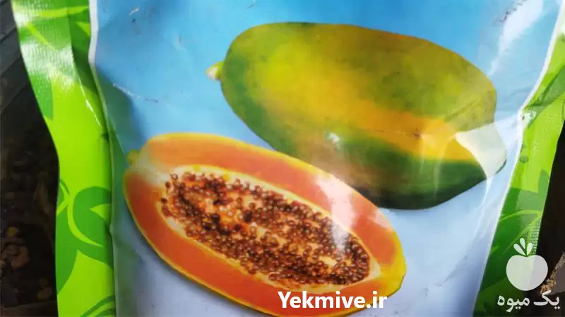 قیمت خرید میوه پاپایا در گروه خرید و فروش میوه استوایی در یکمیوه -عکس1