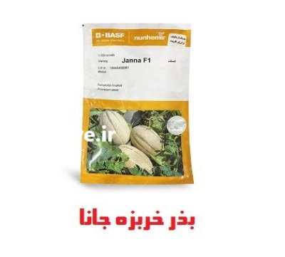 بذر خربزه جانا بذر خربزه در بیرجند در گروه خرید و فروش بذر ملون در یکمیوه -عکس1