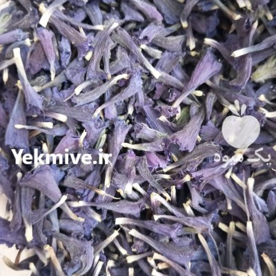 گل گاوزبان در تربت حیدریه در گروه خرید و فروش گیاهان دارویی در یکمیوه -عکس1