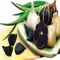 فروش سیر سیاه در اصفهان در گروه خرید و فروش سیر در یکمیوه