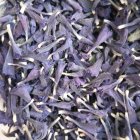 گل گاوزبان در تربت حیدریه در گروه خرید و فروش گیاهان دارویی در یکمیوه