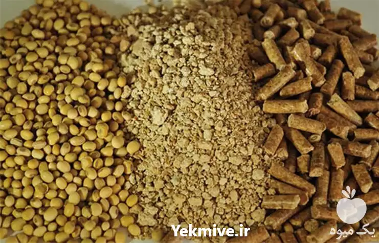 فروش خریدار دانه روغنی سویا در کرج در گروه خرید و فروش دانه های روغنی در یکمیوه -عکس1