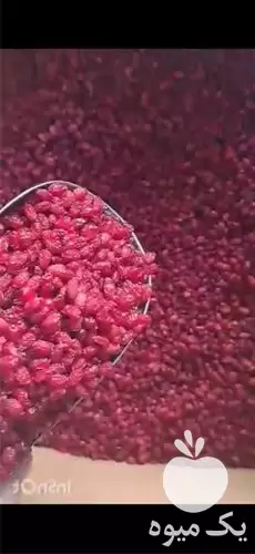 قیمت خرید زرشک اناری در گروه خرید و فروش زرشک در یکمیوه -عکس1