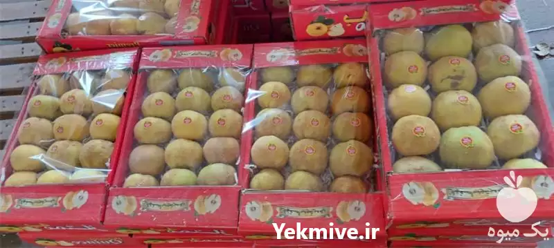 فروش میوه به صورت عمده در اصفهان در گروه خرید و فروش میوه به در یکمیوه -عکس1