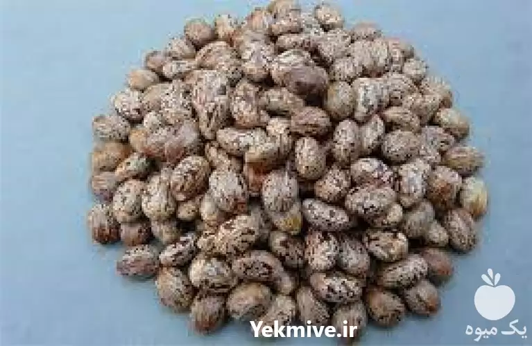 فروش روغن خوراکی صنعتی عمده خرده در تهران در گروه خرید و فروش انواع روغن در یکمیوه -عکس1