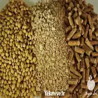 فروش خریدار دانه روغنی سویا در کرج در گروه خرید و فروش دانه های روغنی در یکمیوه