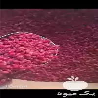 قیمت خرید زرشک اناری در گروه خرید و فروش زرشک در یکمیوه