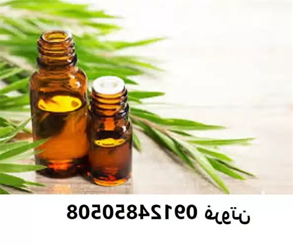قیمت خرید روغن درخت چای سبز در گروه خرید و فروش انواع روغن در یکمیوه -عکس1