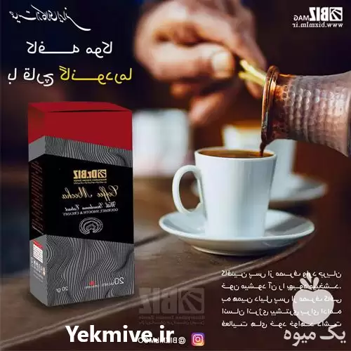 نمایندگی فروش قارچ گانودرما لوسیدوم در گروه خرید و فروش قارچ در یکمیوه -عکس1