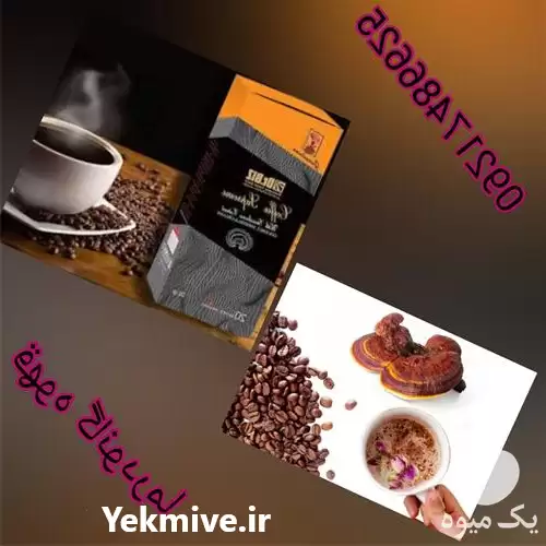 قیمت خرید قارچ گانودرما در اصفهان در گروه خرید و فروش قارچ در یکمیوه -عکس1