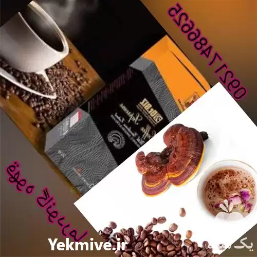 قیمت خرید قارچ گانودرما در کرج در گروه خرید و فروش قارچ در یکمیوه -عکس1