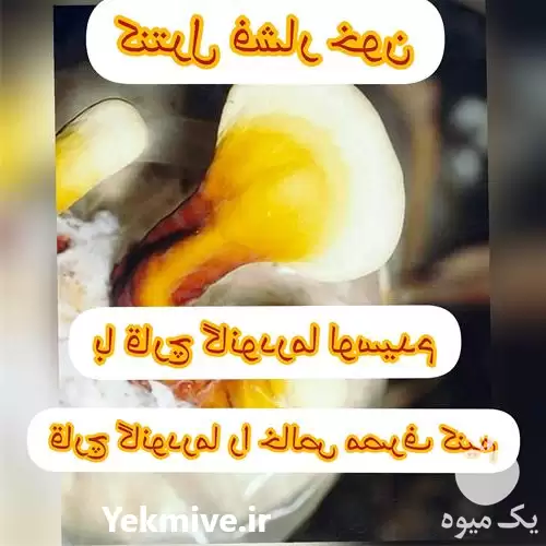 قیمت خرید پرورش قارچ گانودرما در مشهد در گروه خرید و فروش قارچ در یکمیوه -عکس1