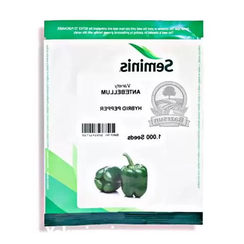 قیمت خرید بذر فلفل دلمه آنتبلوم در شیراز در گروه خرید و فروش بذر فلفل در یکمیوه -عکس1