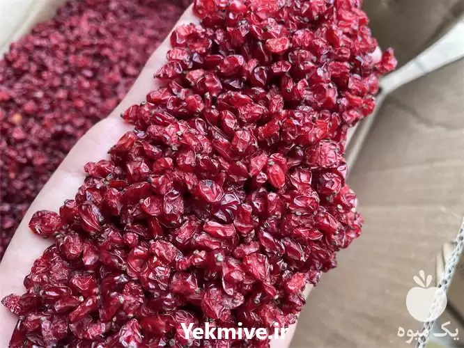 فروش عرضه و پخش زرشک در مشهد در گروه خرید و فروش زرشک در یکمیوه -عکس1