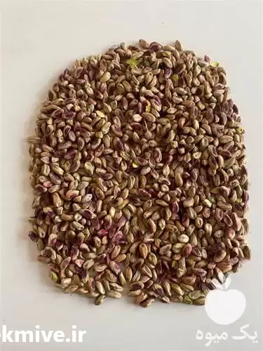 قیمت خرید انواع مغز پسته پودر در تهران در گروه خرید و فروش پسته در یکمیوه -عکس1