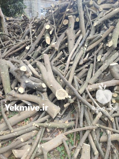 فروش چوب مرکبات در گروه خرید و فروش چوب مرکبات در یکمیوه -عکس1