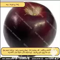 خرید و فروش سیب جرومین اصل در گروه خرید و فروش سیب در یکمیوه