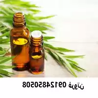قیمت خرید روغن درخت چای سبز در گروه خرید و فروش انواع روغن در یکمیوه