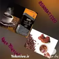 قیمت خرید قارچ گانودرما در اصفهان در گروه خرید و فروش قارچ در یکمیوه