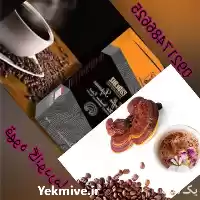 قیمت خرید قارچ گانودرما در کرج در گروه خرید و فروش قارچ در یکمیوه