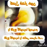 قیمت خرید پرورش قارچ گانودرما در مشهد در گروه خرید و فروش قارچ در یکمیوه