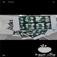 فروش عرضه بدون واسطه قارچ بسته در تهران در گروه خرید و فروش قارچ در یکمیوه