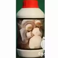 فروش مکمل تقویتی پرورش قارچ دکمه در گروه خرید و فروش قارچ در یکمیوه