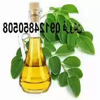 قیمت خرید روغن مورینگا در گروه خرید و فروش انواع روغن در یکمیوه