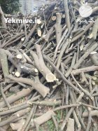 فروش چوب مرکبات در گروه خرید و فروش چوب مرکبات در یکمیوه