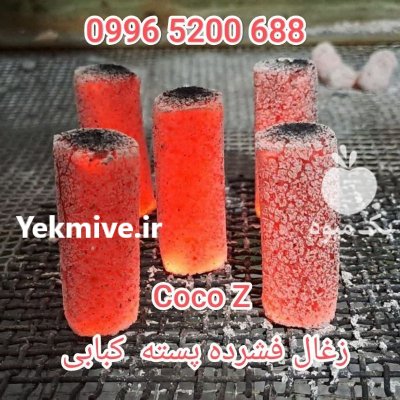 تولید و فروش زغال فشرده پسته در مشهد در گروه خرید و فروش زغال فشرده در یکمیوه -عکس1