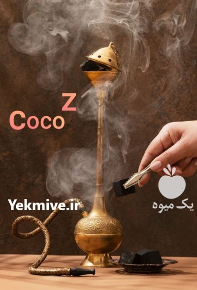 تولید و پخش زغال حبه ای در مشهد در گروه خرید و فروش زغال فشرده در یکمیوه -عکس2