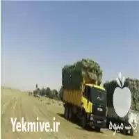 فروش خریدار یونجه در اصفهان در گروه خوراک دام و طیور در یکمیوه