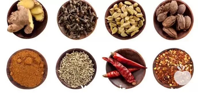 فروش رازیانه خرید رازیانه در اصفهان در گروه خرید و فروش گیاهان دارویی در یکمیوه -عکس1