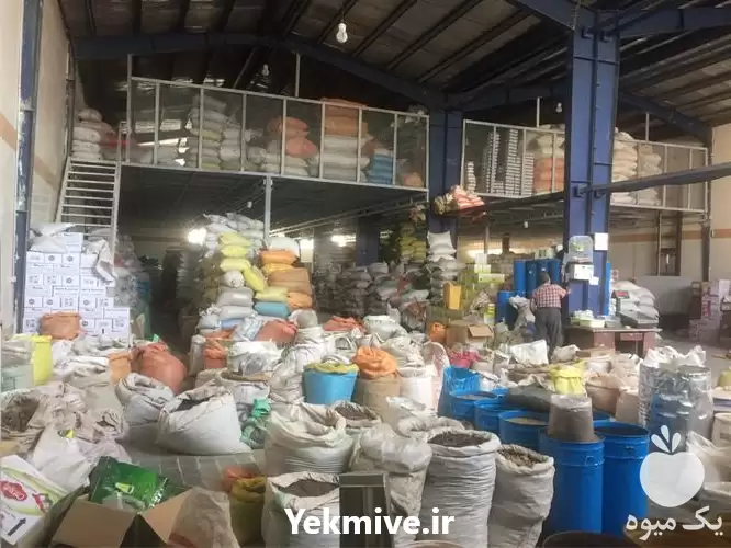 خرید فروش عمده گیاهان دارویی لوازم در گروه خرید و فروش ادویه در یکمیوه -عکس1