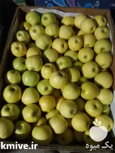 فروش سیب زرد درختی فریدن در اصفهان در گروه خرید و فروش سیب در یکمیوه -عکس1
