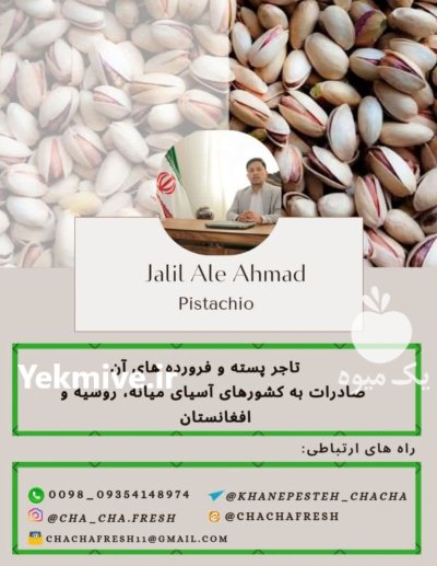 پسته معاملات پسته در گروه خرید و فروش پسته در یکمیوه -عکس1